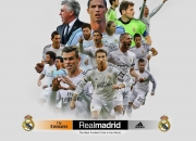 开云体育APP下载-当格子军团斩落沙漠之鹰，伊布在欧冠之巅写下不朽—足球世界里唯一性的双重奏