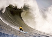 开云体育下载-奥运前哨战，西亚卡姆接管关键战役，快船提前终结悬念步行者