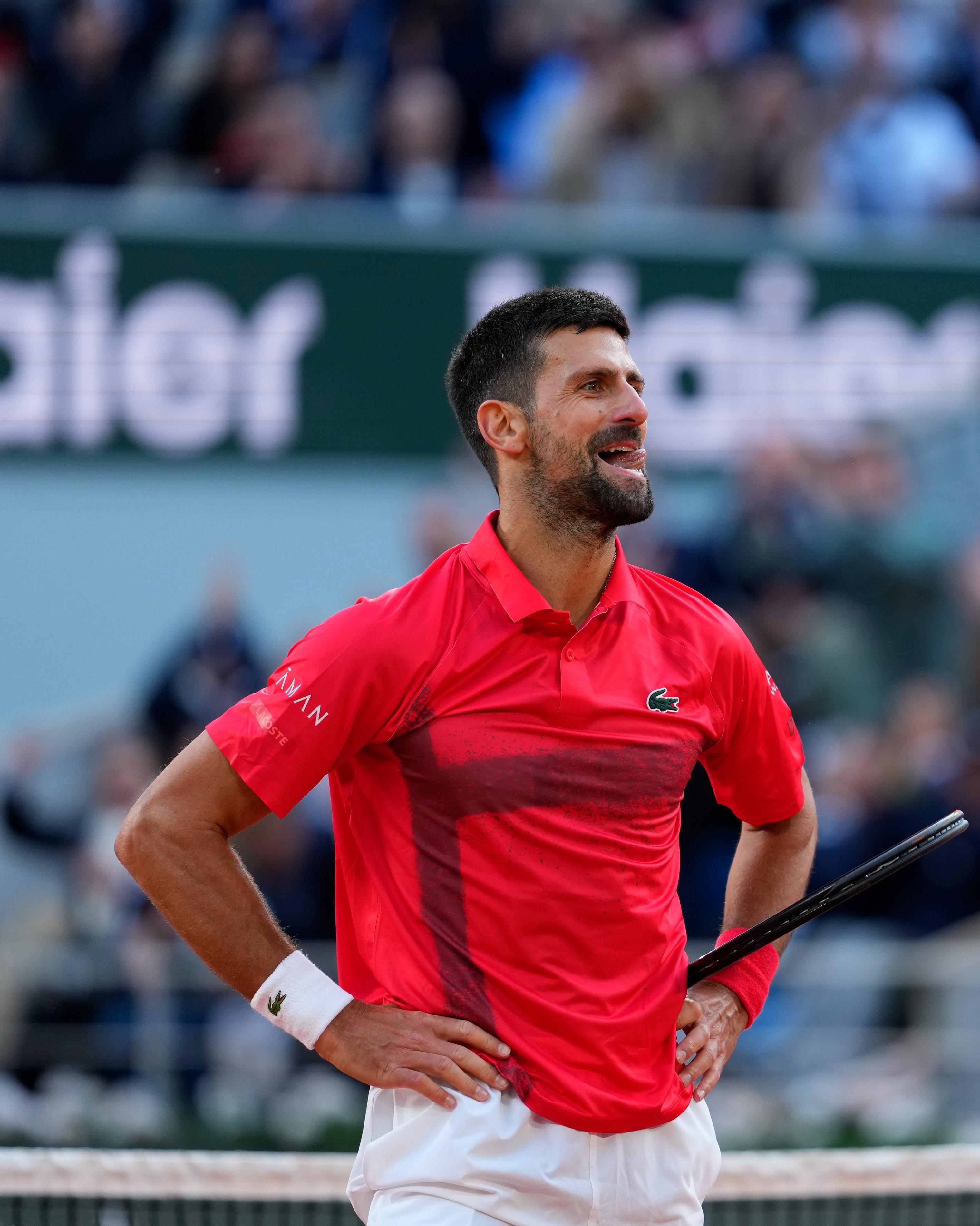 关于联合杯力克法网,德约科维奇扛起全队的信息 关于联合杯力克法网,德约科维奇扛起全队的信息