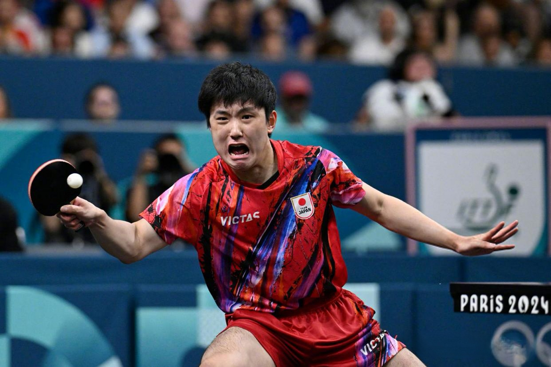 关于法国队完胜瑞典队,张本智和扛起全队的信息 关于法国队完胜瑞典队,张本智和扛起全队的信息