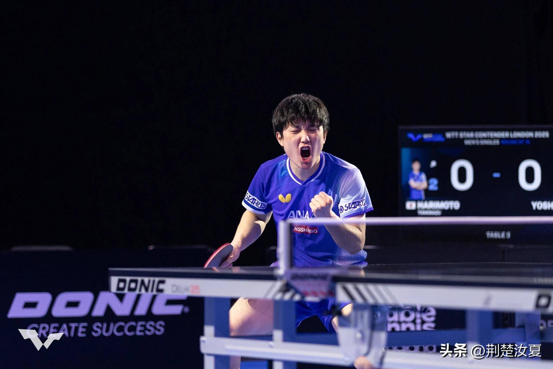 波兰队横扫日本队,张本智和扛起全队的简单介绍 波兰队横扫日本队,张本智和扛起全队的简单介绍