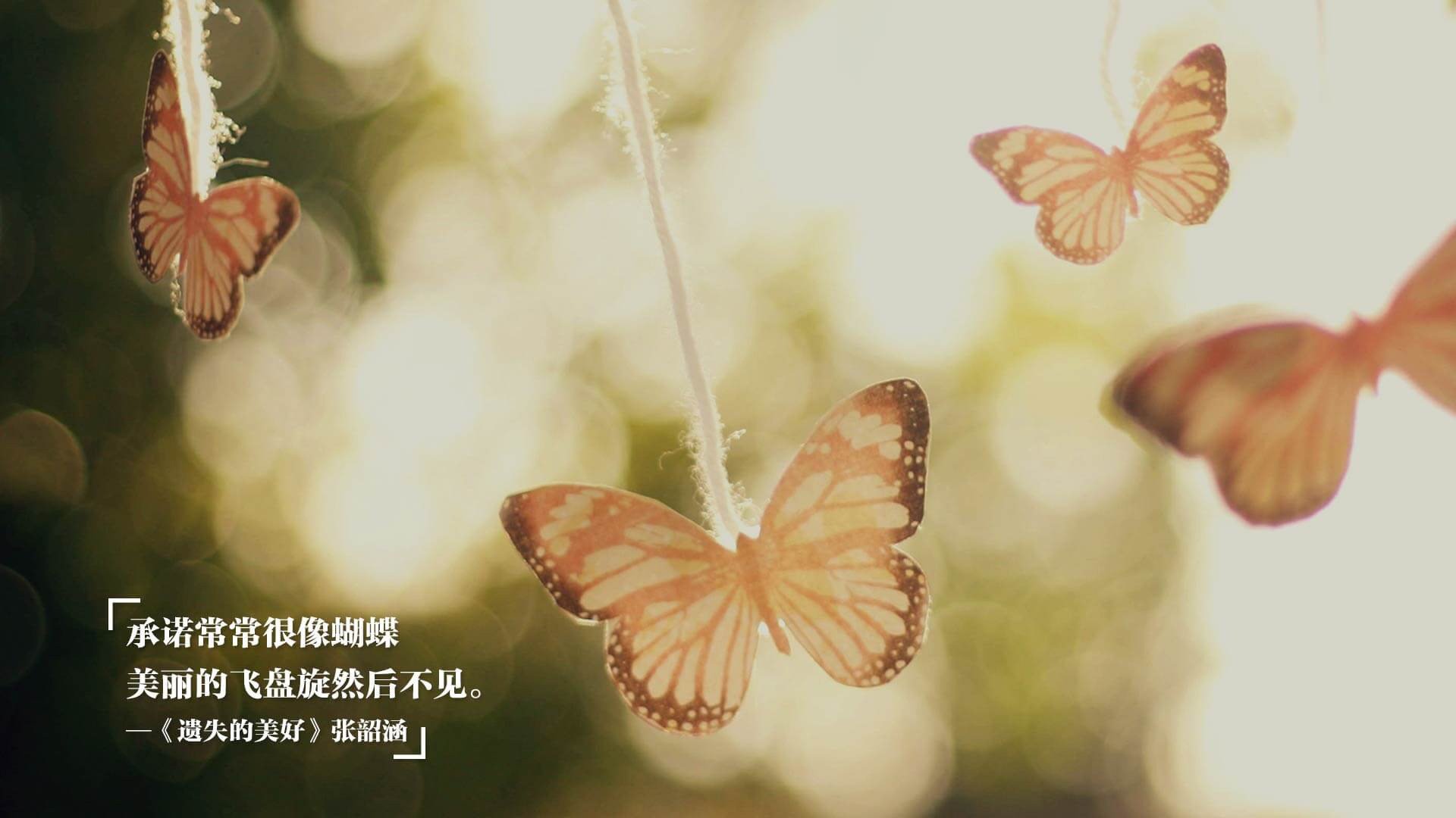 跨界传奇，步行者攻克费城，库里欧冠赛场一剑封天